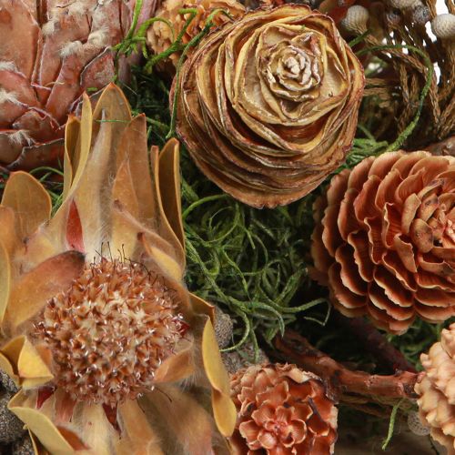 Product Dried Exotic Protea Cones Bellgum 24–48cm 580g - Artificial Flower Decoration South Africa