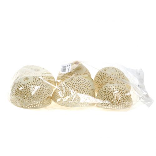 Product Dried Fruits Bell Cup bleached Funeral Floristry 8.5-11cm 10 Pcs