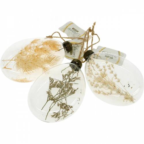 Floristik24 Dry grasses in a flacon to hang three-colored dry decoration glass 3pcs