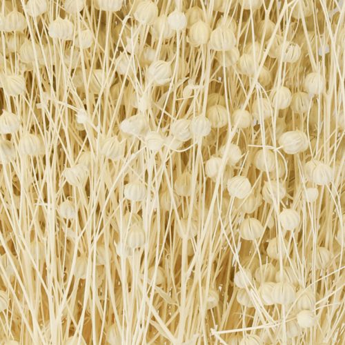Product Dried grass flax dried natural bleached 50-55cm 180g