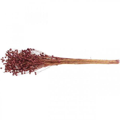 Product Dried Grass Dried Flax Old Pink H50–55cm 80g
