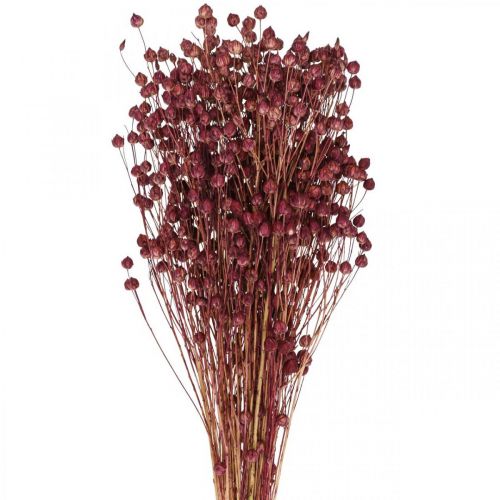 Dried Grass Dried Flax Old Pink H50–55cm 80g