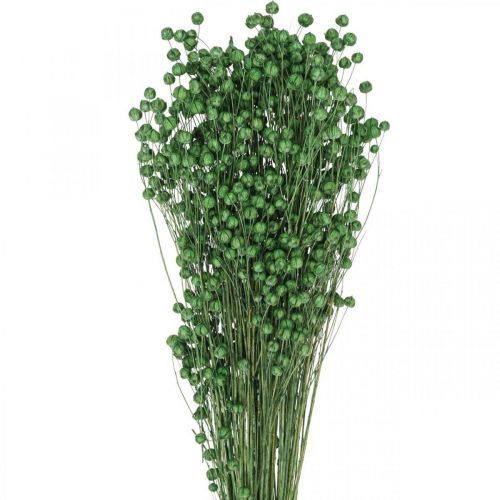 Product Dried Flax Grass, Green, 50-55cm, Decorative DIY