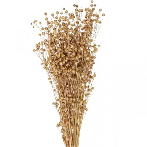 Floristik24 Dried Grass Dried Flax Natural H50-55cm 80g