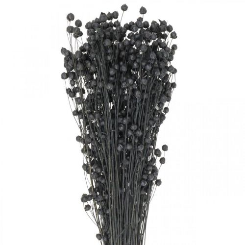 Floristik24 Dried Grass Dried Flax Black H50–55cm 80g
