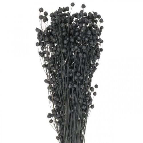 Dried Flax Decorative Grass, Black, 50-55cm, 80g