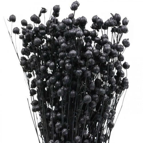 Product Dried Grass Dried Flax Black H50–55cm 80g