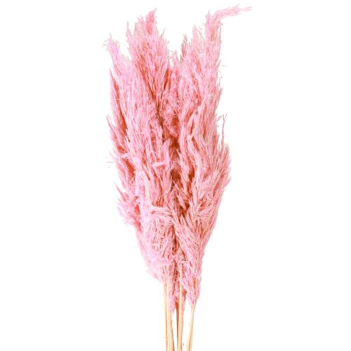 Product Dry Grass Pink Decorative Reed Grass Pampas 70cm 10 pcs