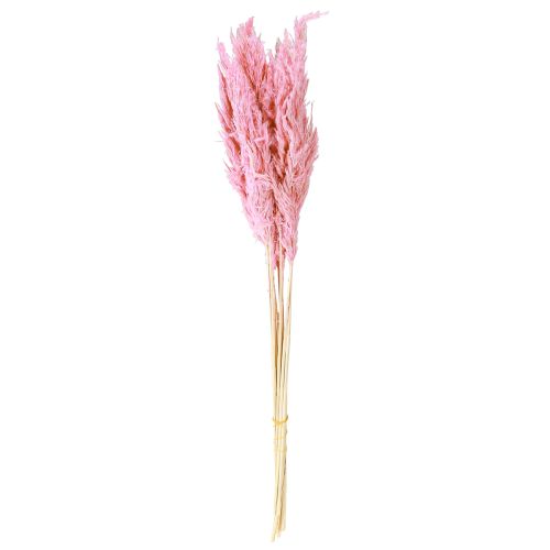 Product Dry Grass Pink Decorative Reed Grass Pampas 70cm 10 pcs
