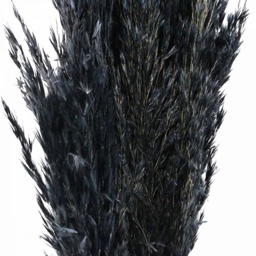Product Dry grass, reed grass, black, 70cm, decorative trend, 10 pieces