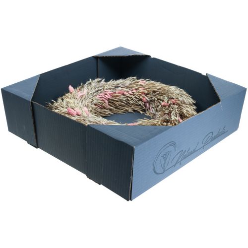 Floristik24 Dry wreath oat phalaris wreath natural pink Ø44cm