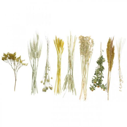 Product Dried Flower DIY Toolkit Yellow for Creative Bouquets and Decorative Wreaths 60cm – Natural Product