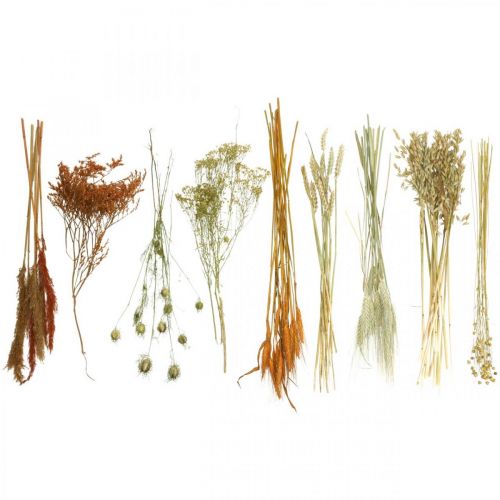Floristik24 Dried flowers DIY set for drying bouquet orange 60cm