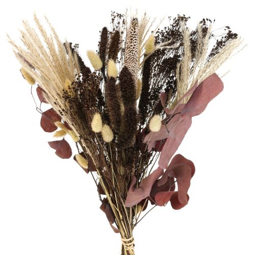 Floristik24 Dry bouquet eucalyptus dry grass bouquet 60cm 120g