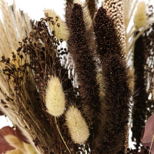Floristik24 Dry bouquet eucalyptus dry grass bouquet 60cm 120g