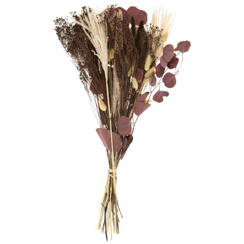 Floristik24 Dry bouquet eucalyptus dry grass bouquet 60cm 120g