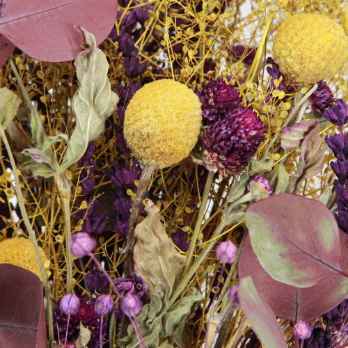 Floristik24 Dried Bouquet Yellow Purple Green Craspedia Eucalyptus 53cm 150g