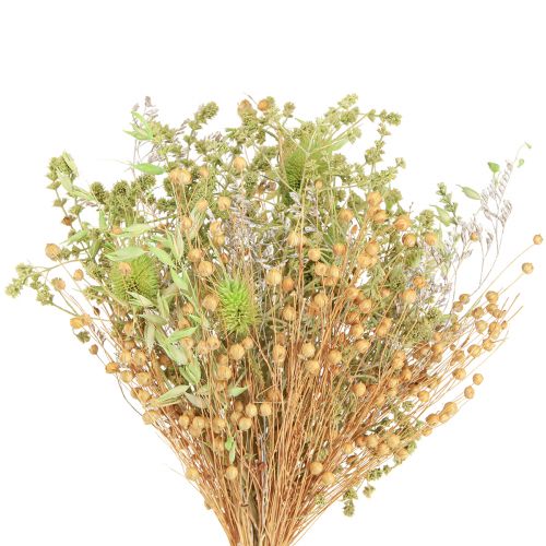 Dried Bouquet Teasel Oat Flax Mint Natural White 40cm 80g