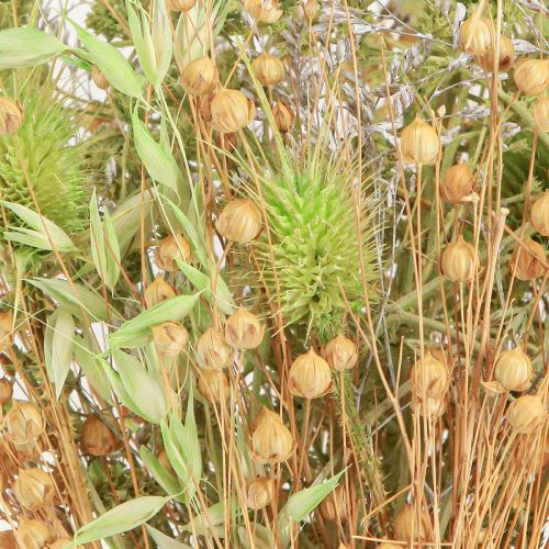 Floristik24 Dried Bouquet Teasel Oat Flax Mint Natural White 40cm 80g
