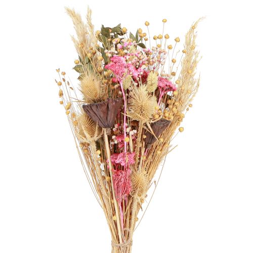 Floristik24 Dried Bouquet Lotus Flax Thistle Pink Cream 50cm 100g