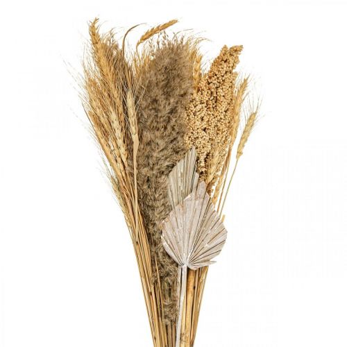 Floristik24 Dry bouquet of dry grass bunch of grain nature, white 74cm