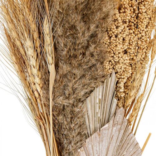 Floristik24 Dry bouquet of dry grass bunch of grain nature, white 74cm