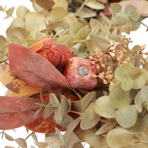 Floristik24 Door wreath eucalyptus eucalyptus wreath artificial decoration Ø55cm