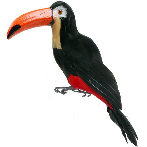 Deco toucan with feathers black L37cm