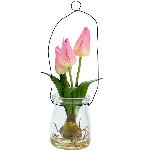 Floristik24 Tulip in a glass pink H22.5cm 1p
