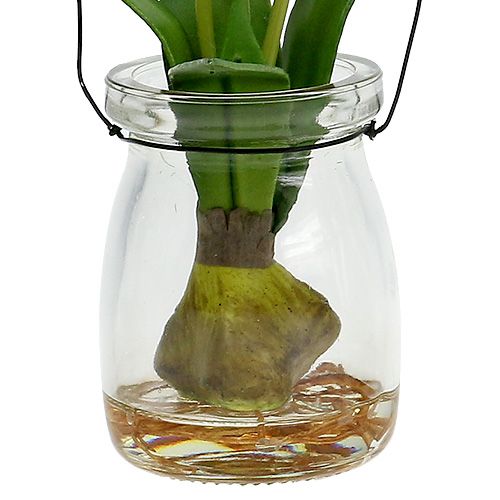 Floristik24 Tulip white in a glass H21cm 1p