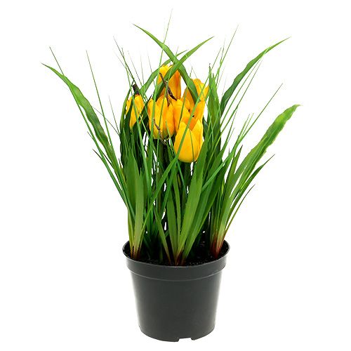 Floristik24 Tulips in a yellow pot 30cm