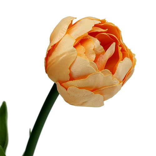 Product Tulip bouquet apricot 43cm