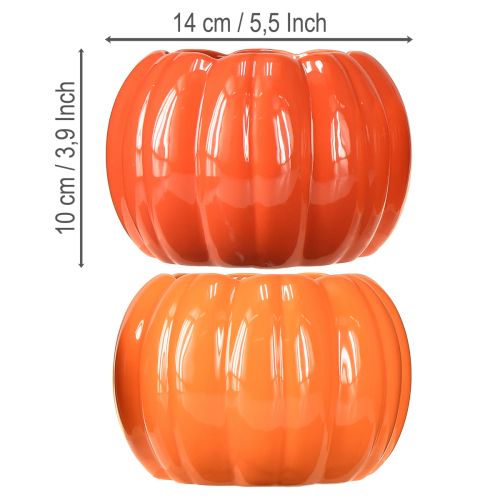 Floristik24 Planter ceramic pumpkin orange assorted Ø14cm H10cm 2 pcs