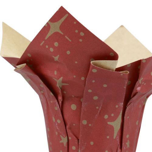 Product Planter paper stars red/anthracite/natural Ø9.5cm H10cm 9 pieces