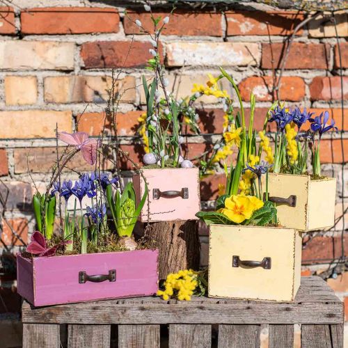 Floristik24 Planter drawer wood deco purple 25×13×9cm