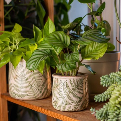 Floristik24 Planter earthenware fern plant pot ceramic Ø15/10.5cm set of 2