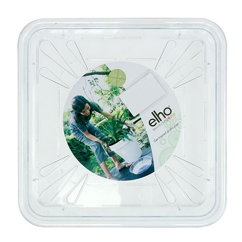 Floristik24 Coaster 20x20cm transparent, 1p