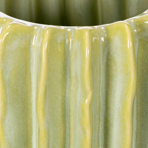 Product Cactus flower pot, ideal bowl for exotic home accents, 16cm