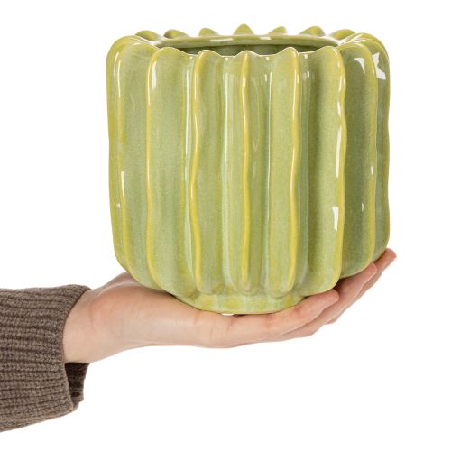 Product Cactus flower pot, ideal bowl for exotic home accents, 16cm