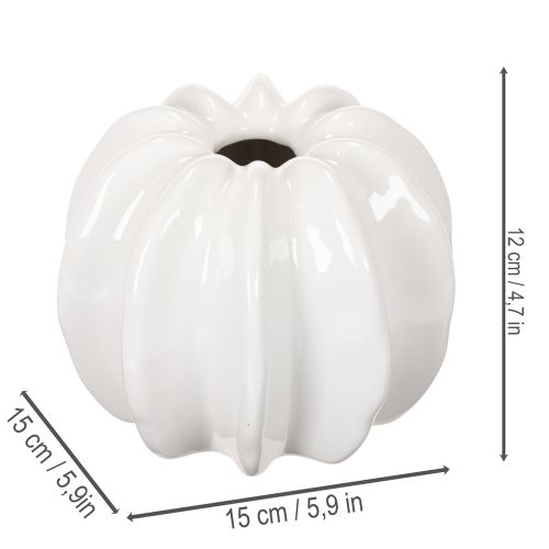 Pumpkin ceramic vase, white, home decoration, 15cm | Floristik24.ie