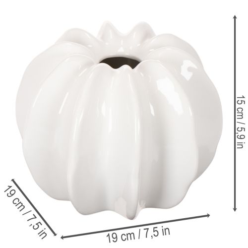 Pumpkin decorative vase, glossy, autumn decoration for living room, 19cm | Floristik24.ie