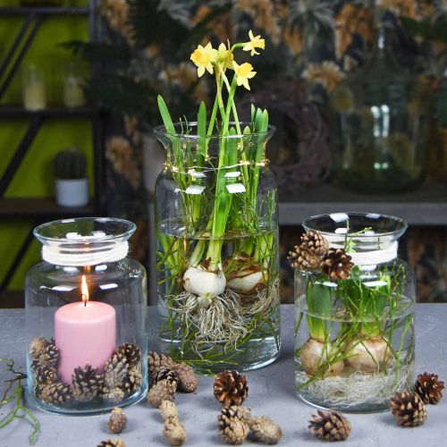Product Glass vase, decorative vase, candle glass Ø15.5cm H28cm