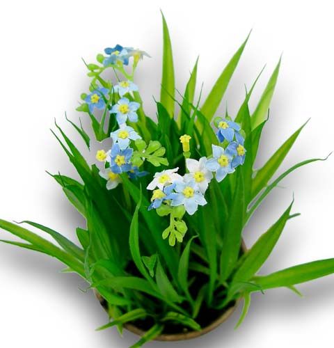 Forget-me-not with grass and bowl 18cm