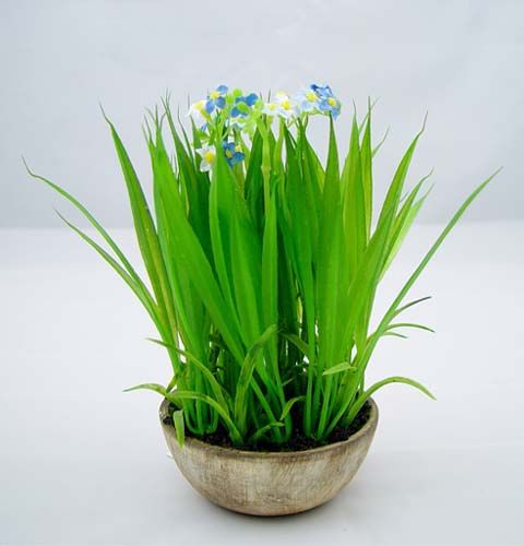 Floristik24 Forget-me-not with grass and bowl 18cm