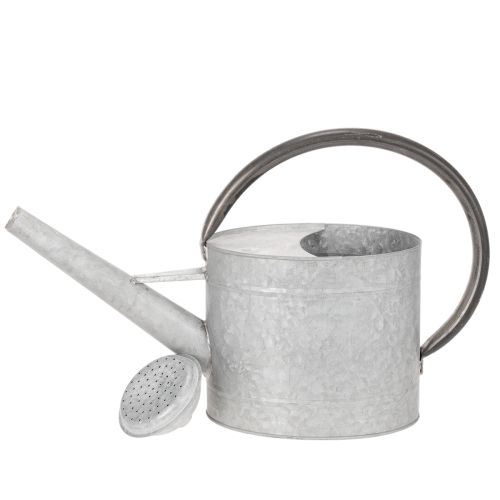 Vintage metal watering can, silver-grey, stylish garden decoration, flower vase, L53cm H29cm | Floristik24.ie