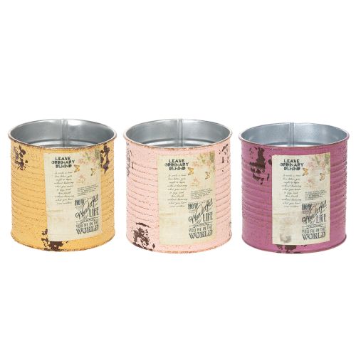Product Vintage-look flower pot/tin with lettering for indoor decoration, 11cm, 3 pieces