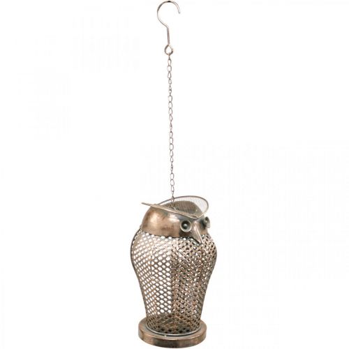 Floristik24 Vintage Lantern Owl Garden Lantern Tealight Holder Gold H29cm
