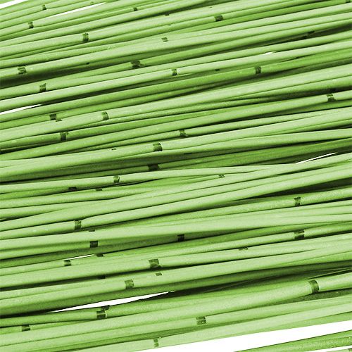 Floristik24 Vlei Reed 400g light green
