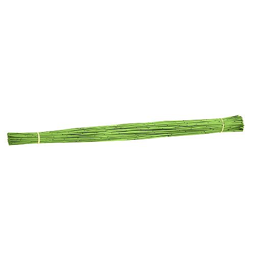 Floristik24 Vlei Reed 400g light green