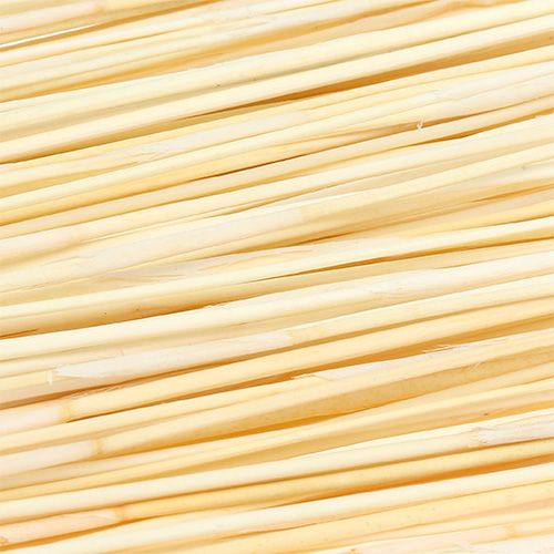 Floristik24 Vlei Reed 400g bleached